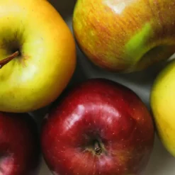 3-in-1 Apple Cocktail Tree