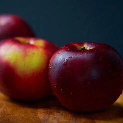 Arkansas Black Apple Tree -The Tree Center Arkansas Black Apple 2 copy 600x600 1