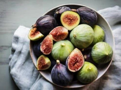 Black Italian Fig -The Tree Center Black Italian Fig 3 copy 600x450 1
