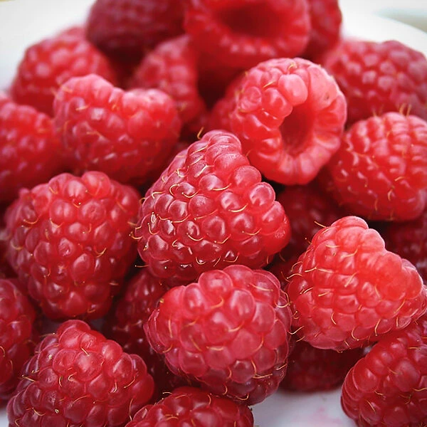 Heritage Raspberry 3 Heritage Raspberry - Image 3