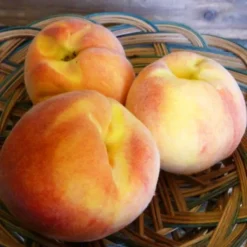 Messina® Peach -The Tree Center Messina Peach 2 copy jpg webp