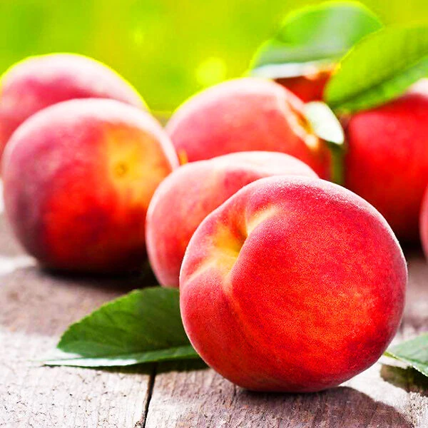 O'Henry Peach Tree 2 O'Henry Peach Tree - Image 2