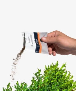 Probiotic Root Stimulant