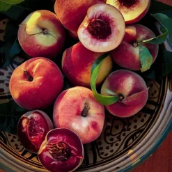 Bonfire Patio Peach Tree 7 Bonfire Patio Peach Tree -The Tree Center bonfire patio peach 3 jpg webp