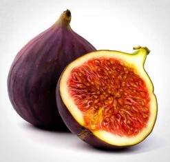 Brown Turkey Fig -The Tree Center brown turkey fig 1 600x572 1