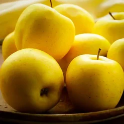 Ein Shemer Apple Tree -The Tree Center ein shemer apple 1 jpg webp