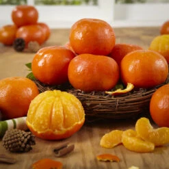 Sunburst Tangerine -The Tree Center sunburst tangerine 1 600x600 1