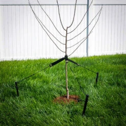 Tree Staking Kit